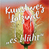 Songreiter